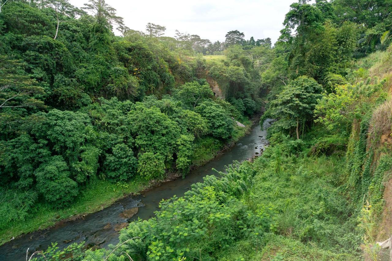 The Pyramid Ubud River Villas Payangan Екстериор снимка