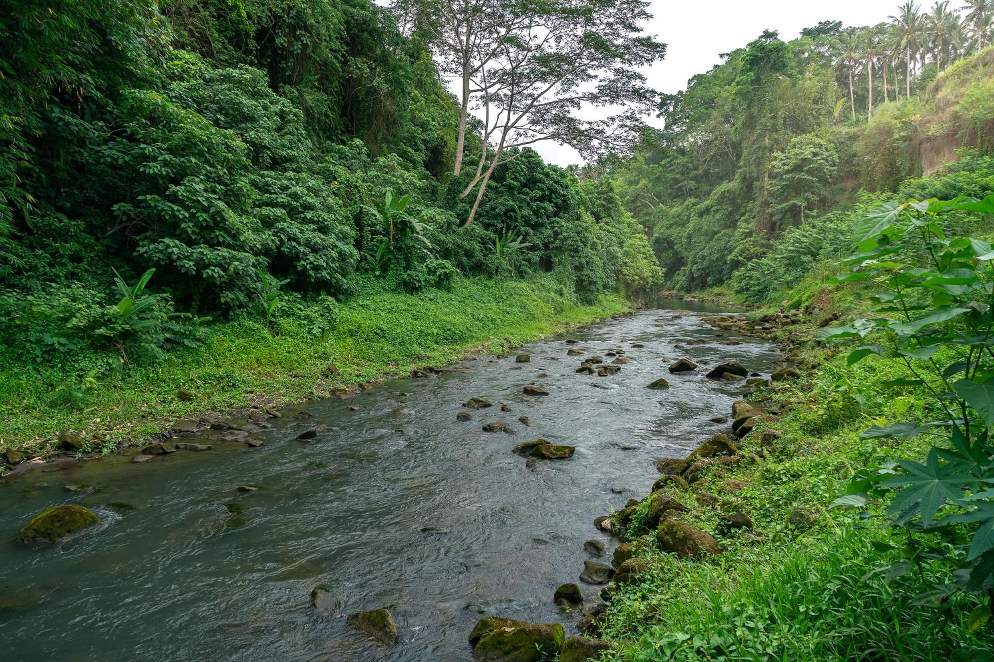 The Pyramid Ubud River Villas Payangan Екстериор снимка